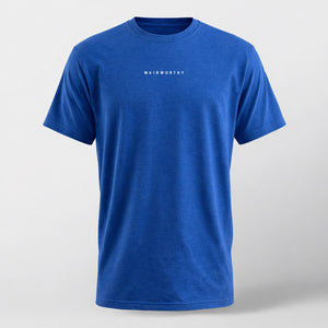 Flying Wing Blueprint T-Shirt Wairworthy